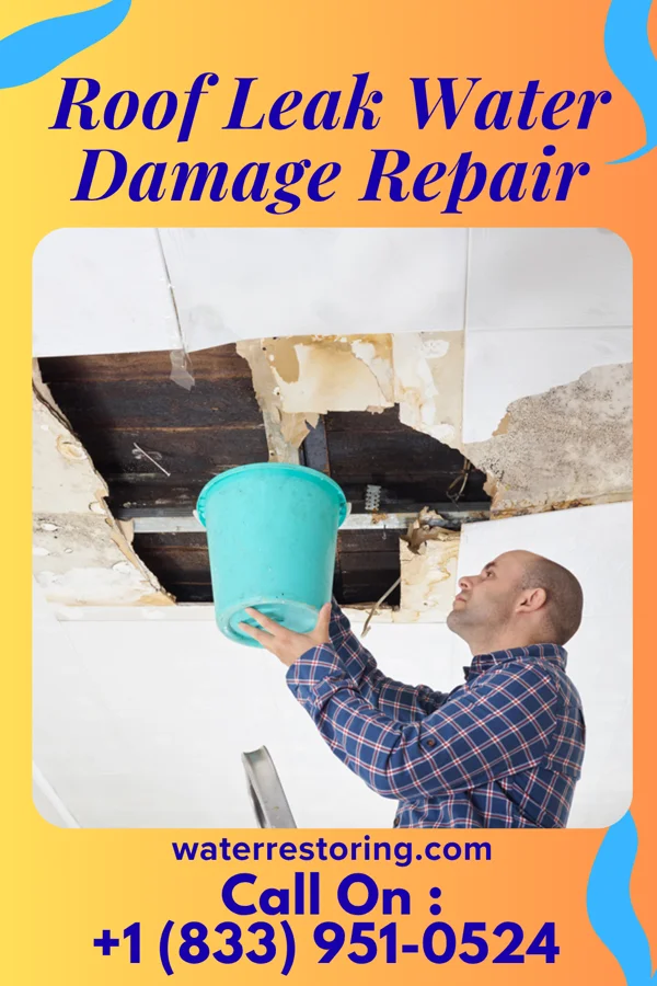 Roof Leak Water Damage Repair in Lowell, WI